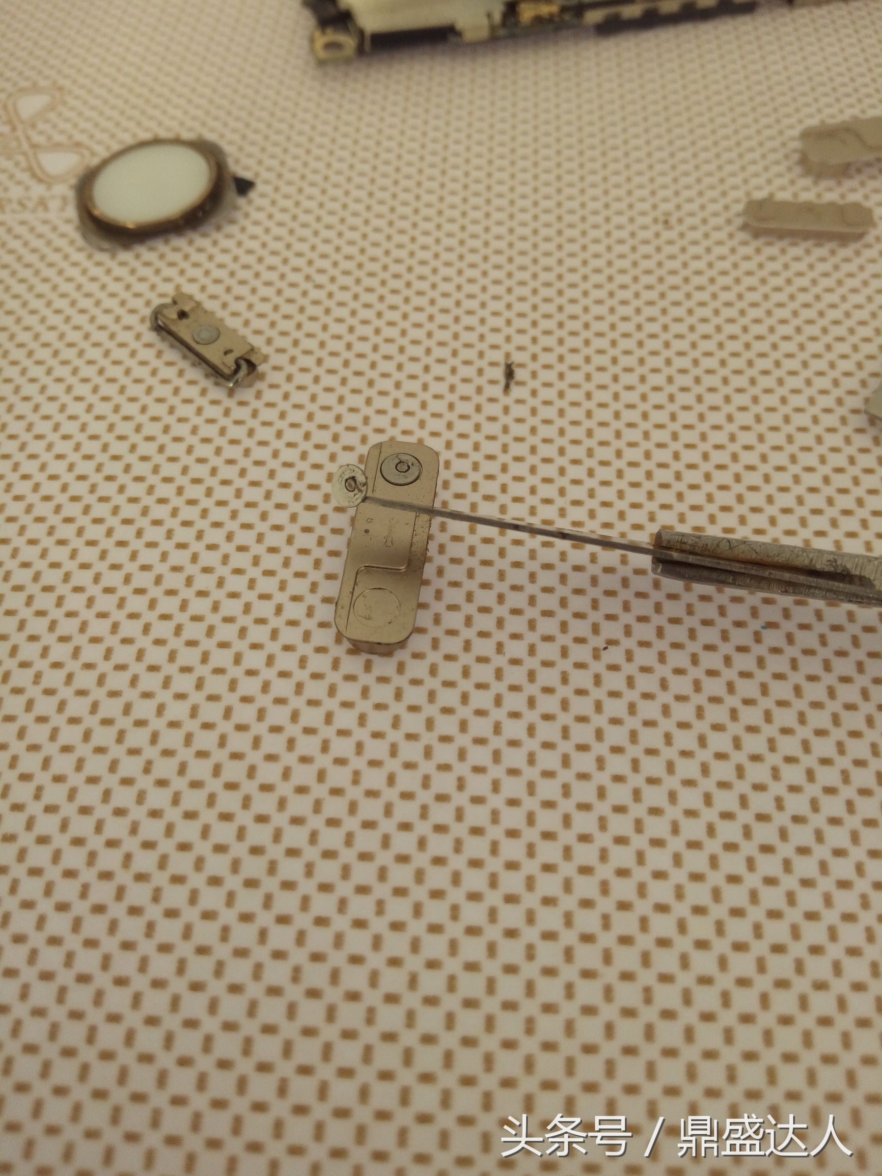 苹果5s拆机换扬声器,5s拆机换壳教程