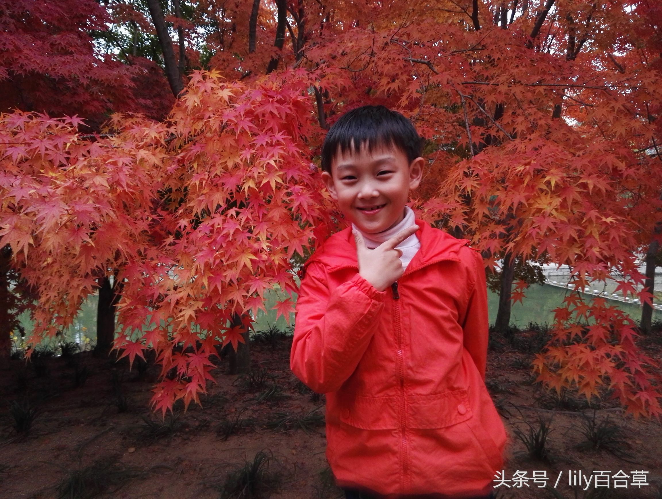 鬼马少年完整版,鬼马少年系列