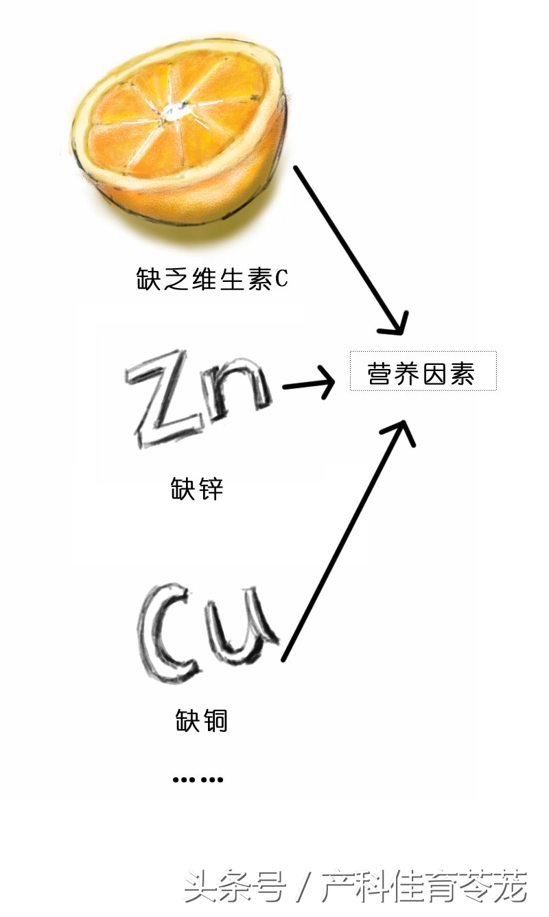 破水了，害怕吗？产科医生教您这样应对