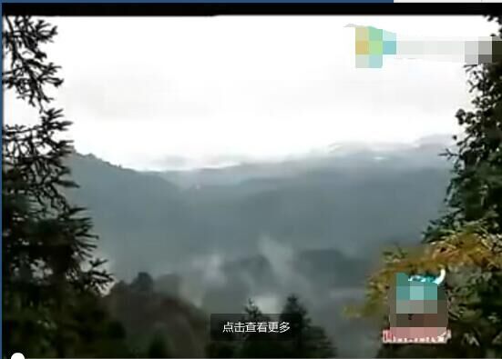 在破落家里，小海萱是朵美丽的坚强花