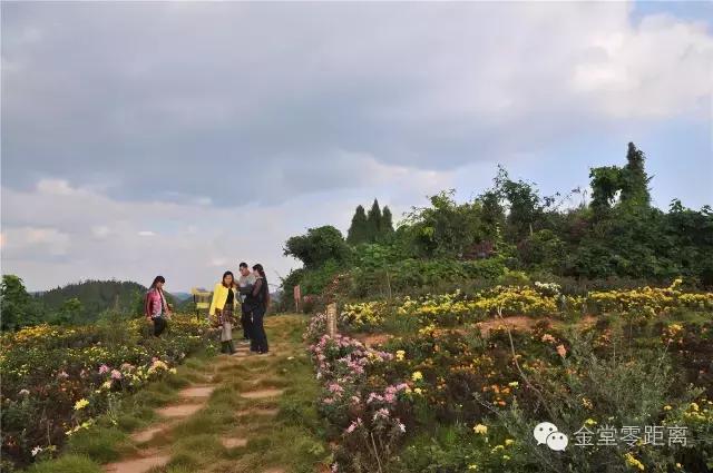 去金堂玉皇山养生谷耍一耍,金堂玉皇山一日游最佳路线