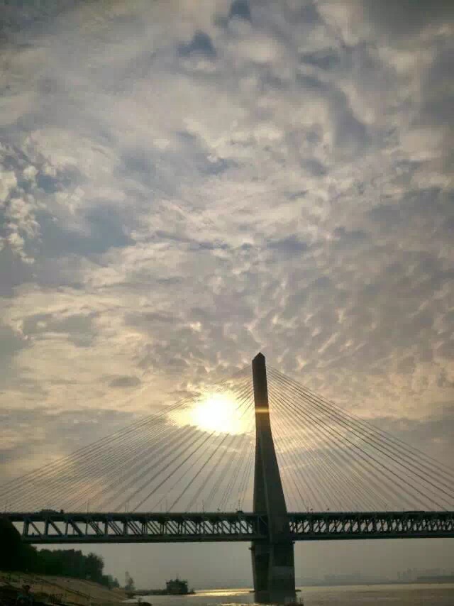 Fight肿瘤君之闯关——血刃肿瘤君！