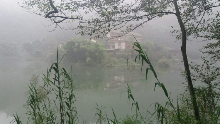 四大佛教名山四川峨眉山介绍,峨眉山
