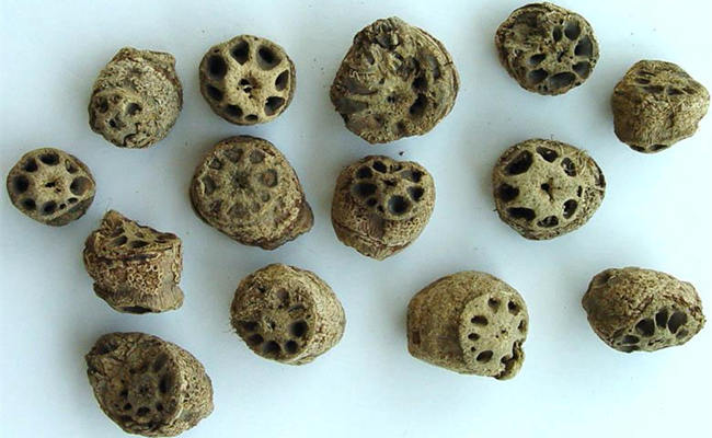 补中益气汤治疗痔疮出血医案,补中益气补气生血