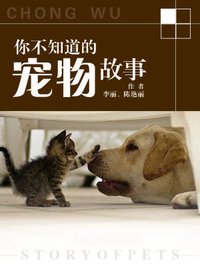喵星人走了怎么安慰,猫咪走丢了怎么找回来搞笑视频