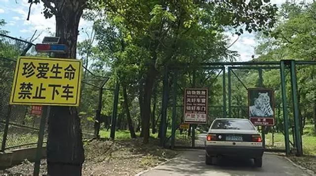 你被狗咬了还能再咬回去吗,被狗咬了怎么办教程