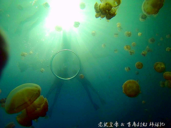 帕劳世界七大海底奇观,帕劳夕阳奇观图片