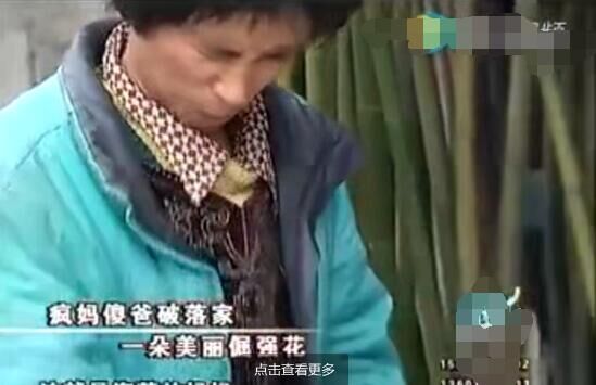 在破落家里，小海萱是朵美丽的坚强花