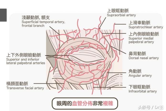 哈尔滨打玻尿酸右眼失明,玻尿酸打鼻子会导致失明吗