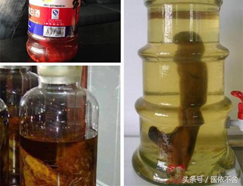 锁阳不老草肉苁蓉,锁阳对男人的功效作用