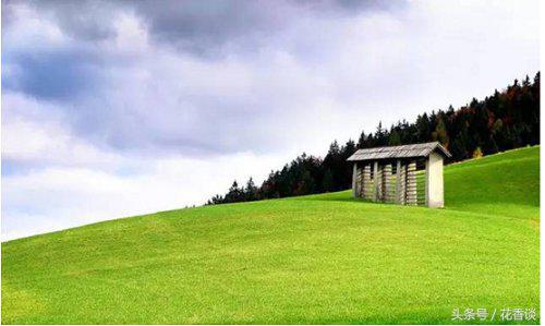 农村冷门小本创业生意,最有前景的10个农村创业点子