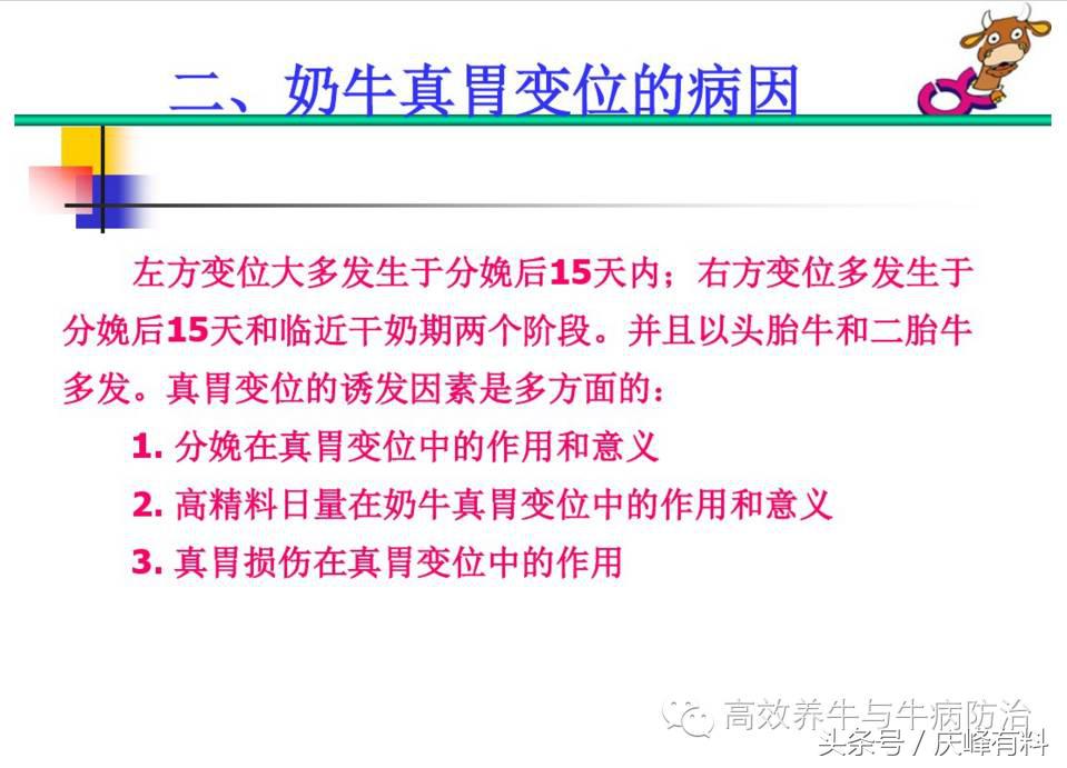奶牛真胃扩张的症状治疗方法,奶牛皱胃左方变位治疗方法