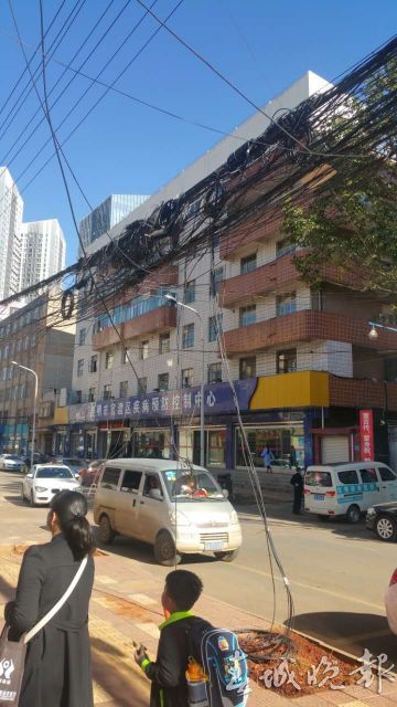 辣眼睛还怕伤人！谁来管管这些“蜘蛛网”“绊马绳”