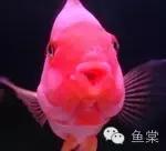 做好这四点还怕钓不好黑坑,做好这五点谁都不会欺负你