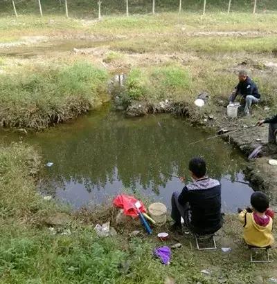 如何调侃钓鱼技术不行,新手钓鱼怎么调侃