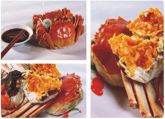 发家致富小农民,致富小农民