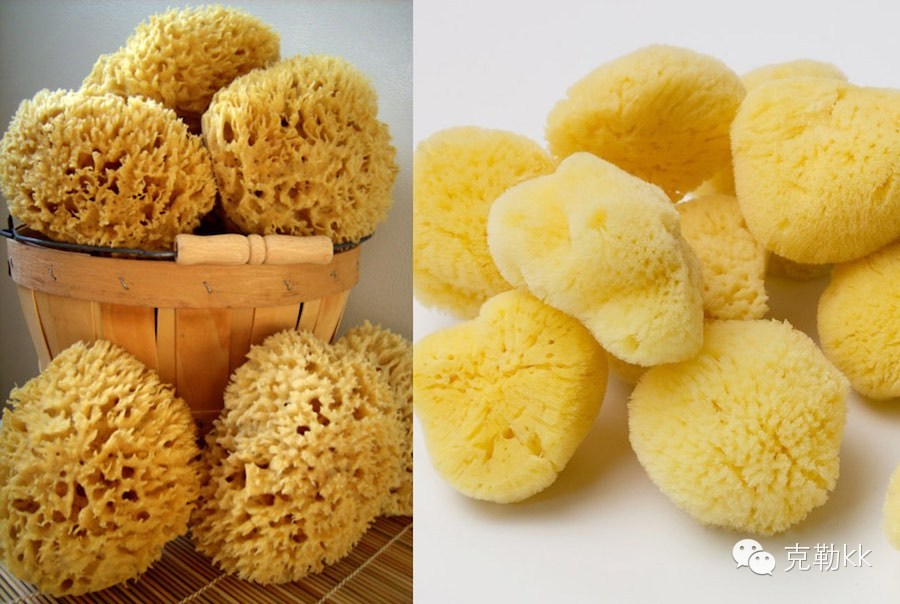 10件夏天必备的神器好物,十件你可能没见过的新奇特小东西