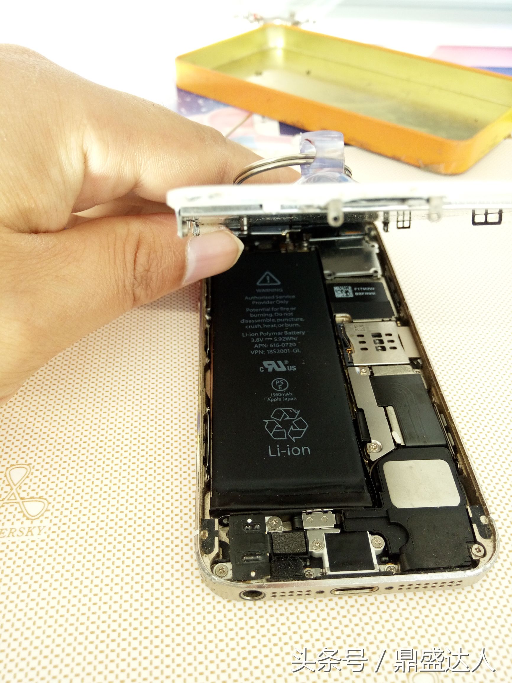 苹果5s拆机换扬声器,5s拆机换壳教程