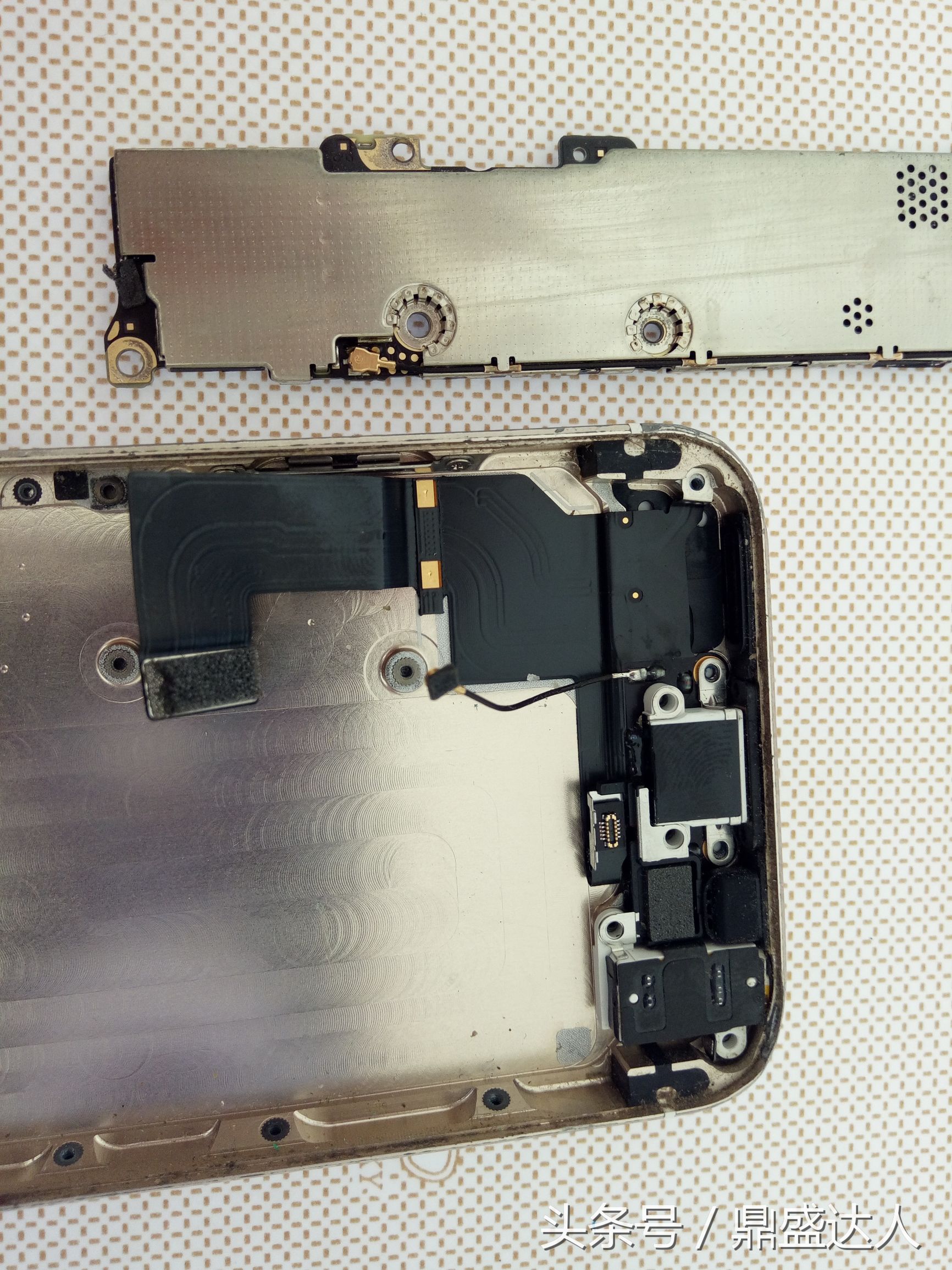 苹果5s拆机换扬声器,5s拆机换壳教程