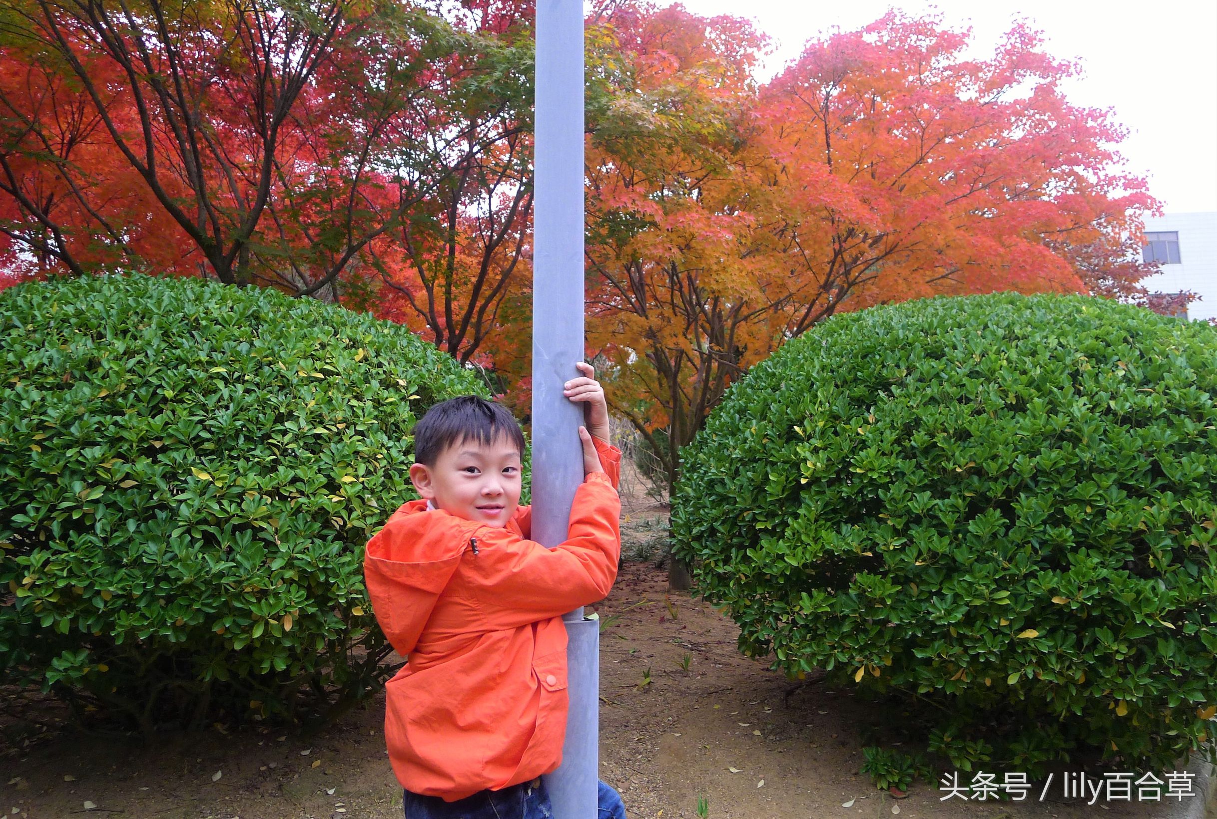 鬼马少年完整版,鬼马少年系列