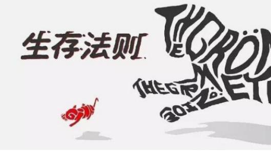 农村电商经营管理制度,农村电商该关注什么事项