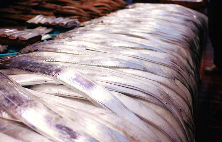 济州岛看枫叶,济州岛枫叶