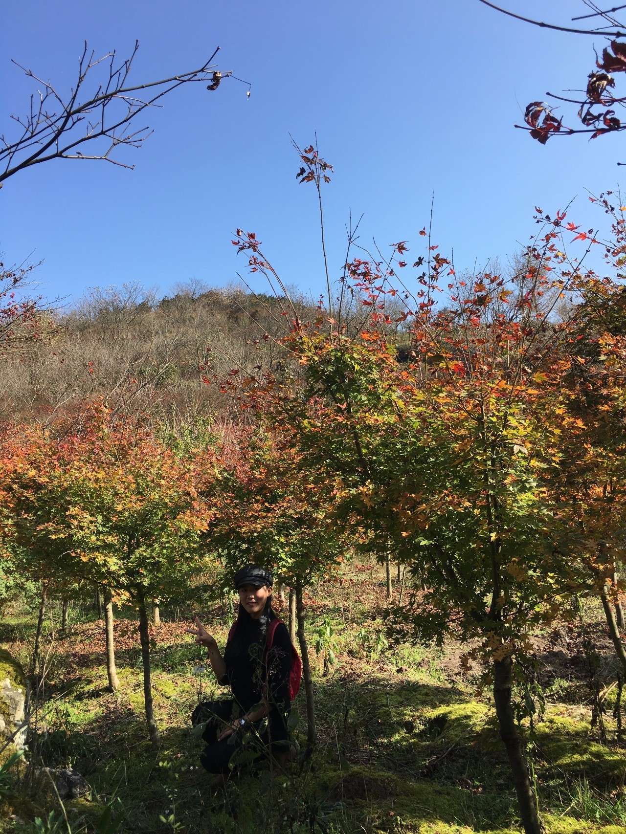 奉化溪口镇栖霞古道,宁波奉化旅游攻略完整版