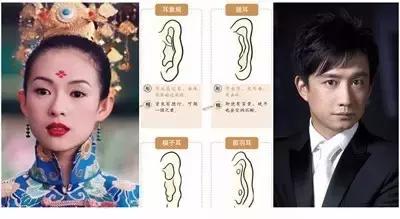 缓解肾劳累的5个小妙招,过度劳累肾透支吃什么