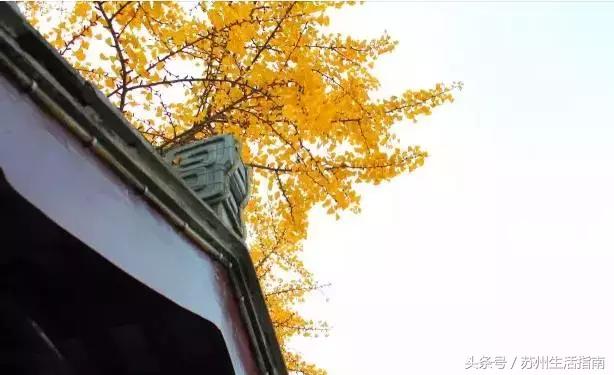 苏州平江路网红打卡地,苏州十大名街