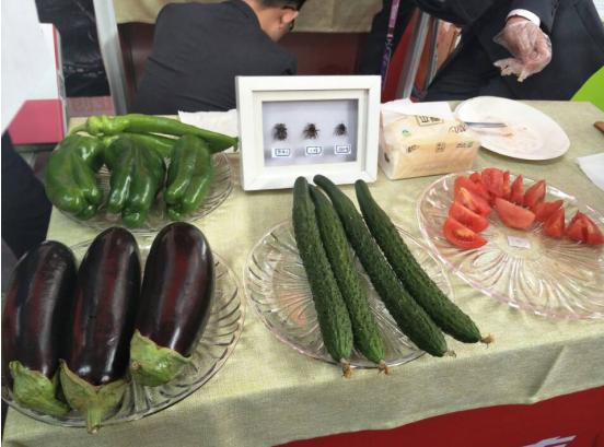 机器人专利创业大赛,大学生智能机器人创业大赛