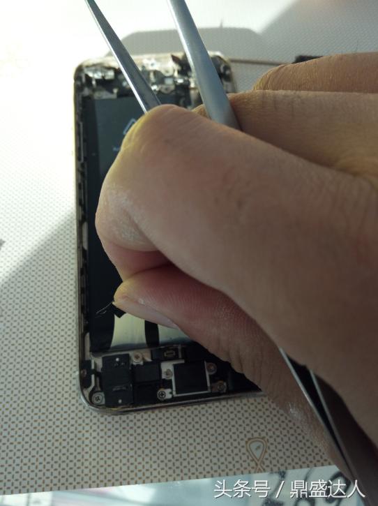 苹果5s拆机换扬声器,5s拆机换壳教程