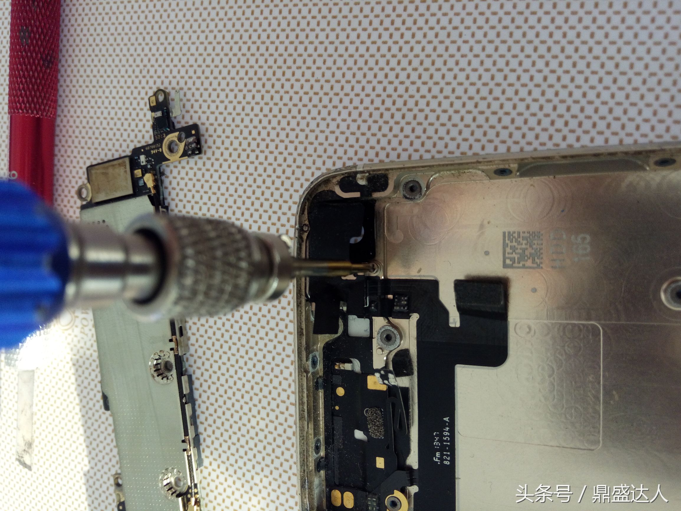 苹果5s拆机换扬声器,5s拆机换壳教程