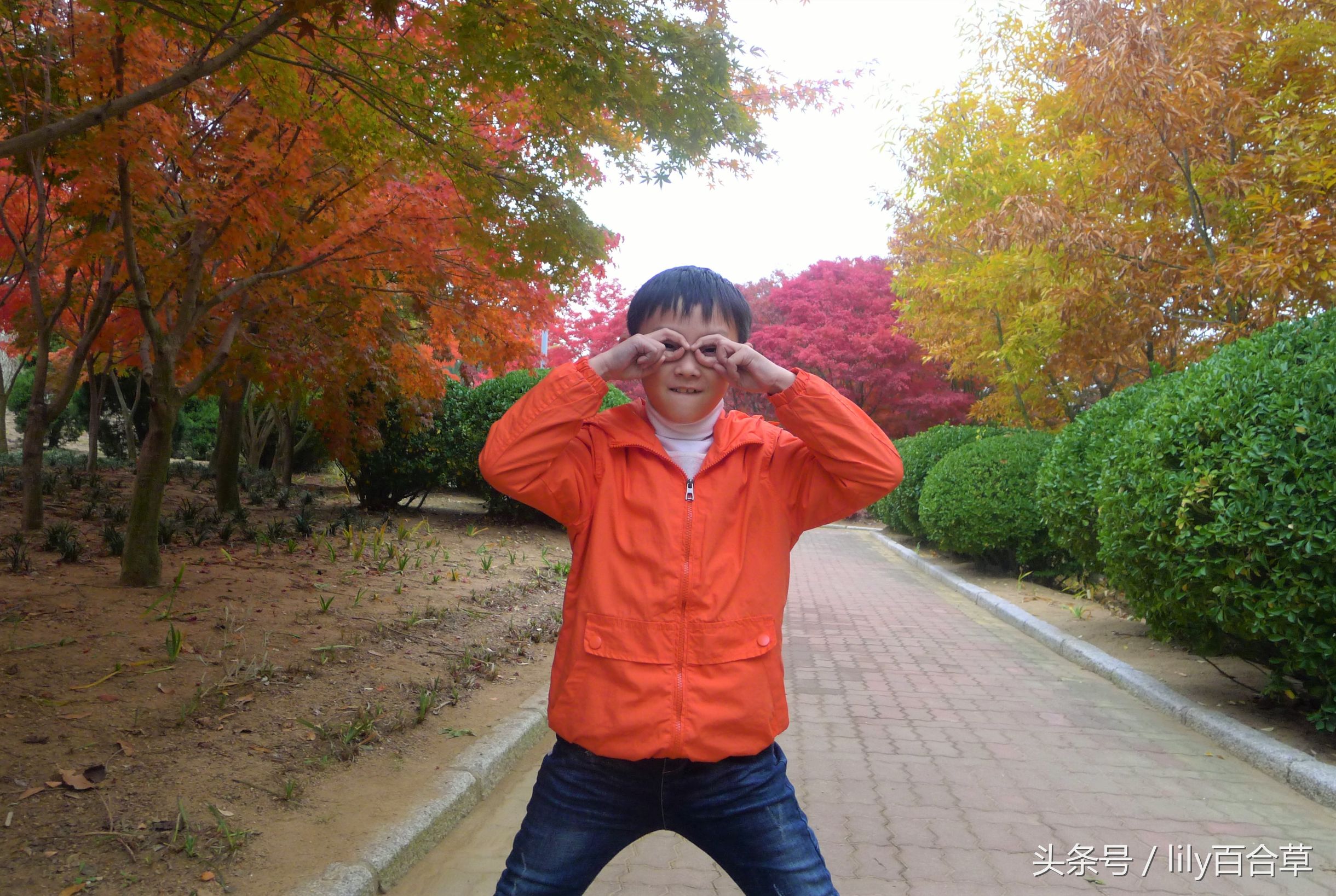 鬼马少年完整版,鬼马少年系列