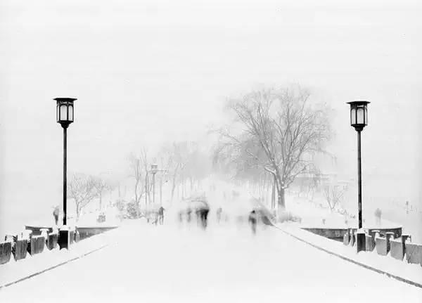 不许你再叫我先生,不许你再叫我夫人原版