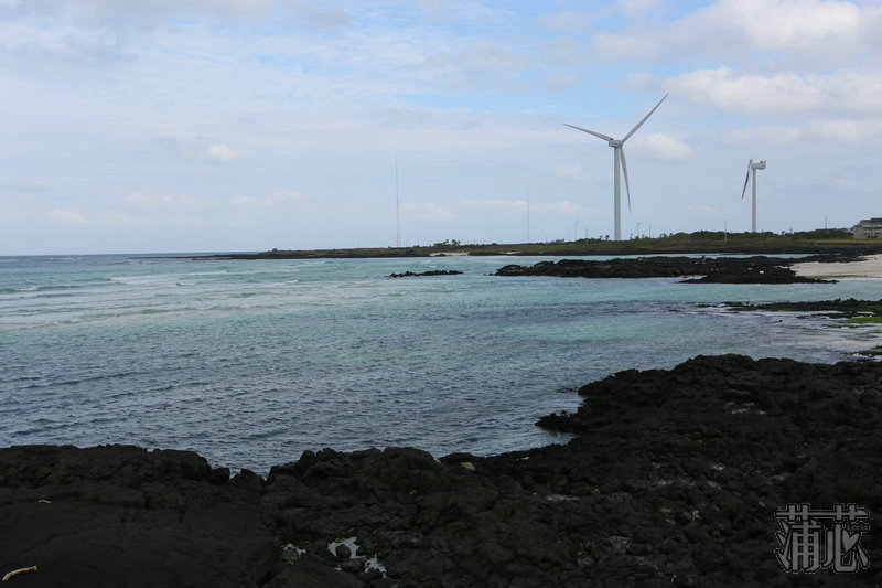 济州岛看枫叶,济州岛枫叶