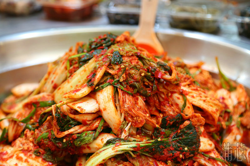 济州岛看枫叶,济州岛枫叶