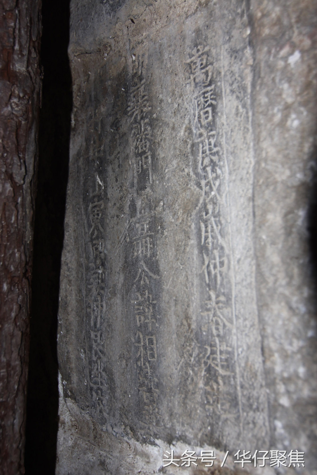 考古发现古墓舍利子,探寻3000座古墓解密摸金校尉