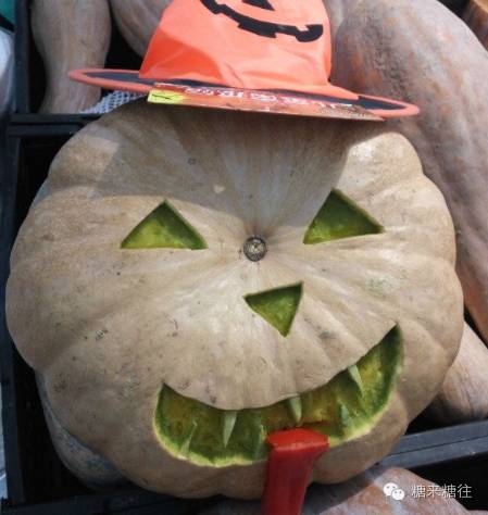 有没有直接降血糖的特效药,降血糖新药一览表