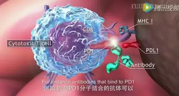 协和肝外科赵海涛专家,赵海涛治胆道肿瘤