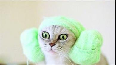 道家养生手脚冰凉锻炼方法,治手脚冰凉最简单有效的健身方法