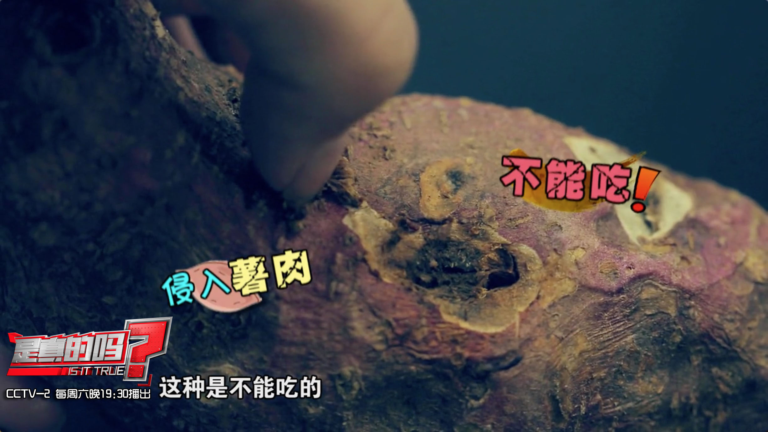 红薯表皮和薯肉有黑斑如何处理,误食黑斑红薯中毒解毒小妙招