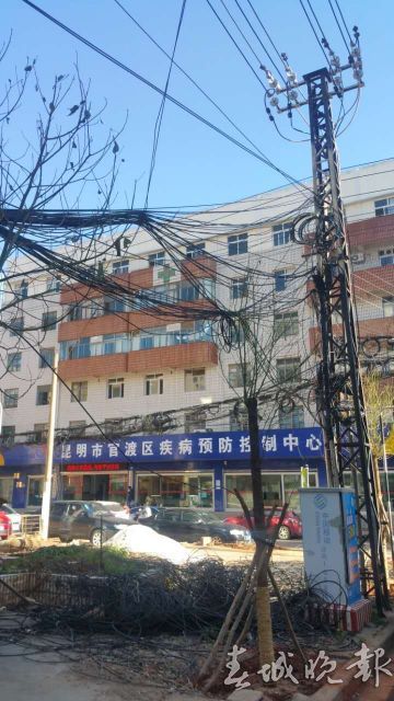 辣眼睛还怕伤人！谁来管管这些“蜘蛛网”“绊马绳”