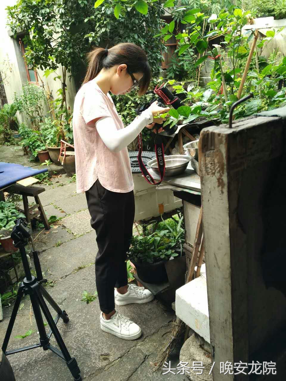 东浦老街,时间的故事动漫篇