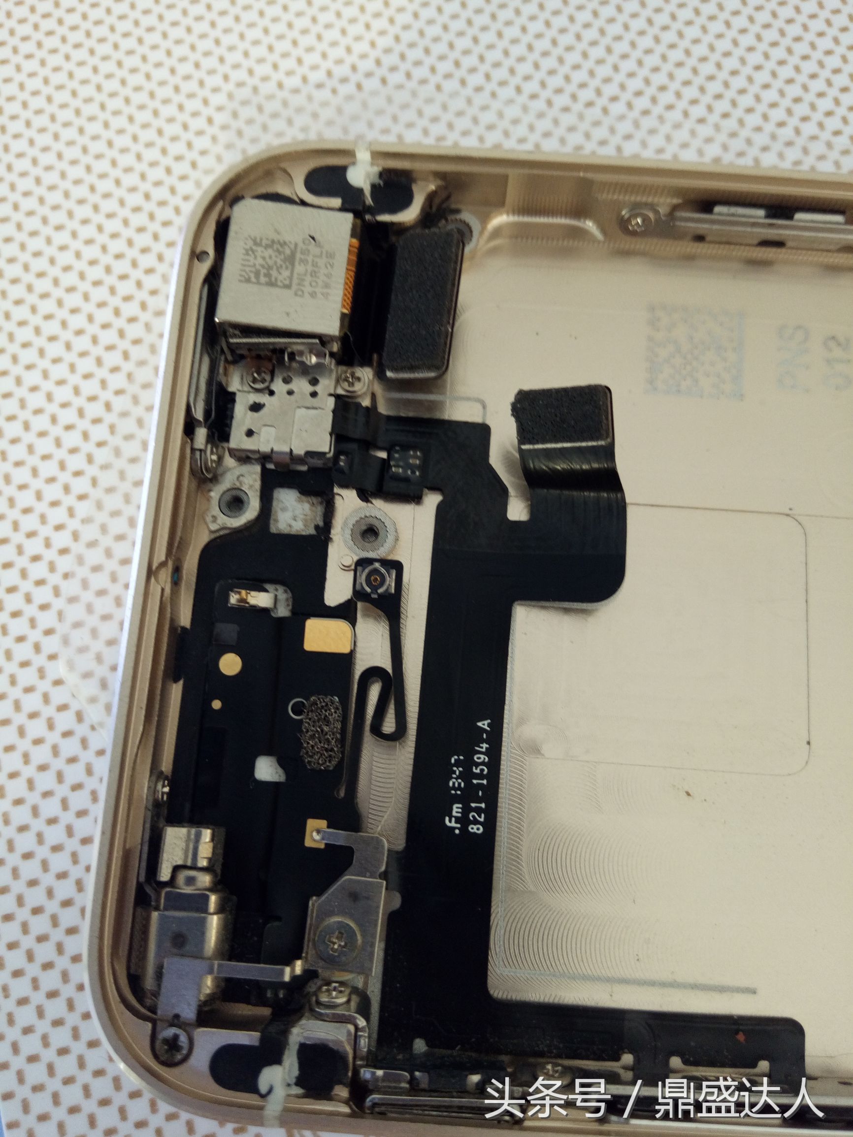 苹果5s拆机换扬声器,5s拆机换壳教程