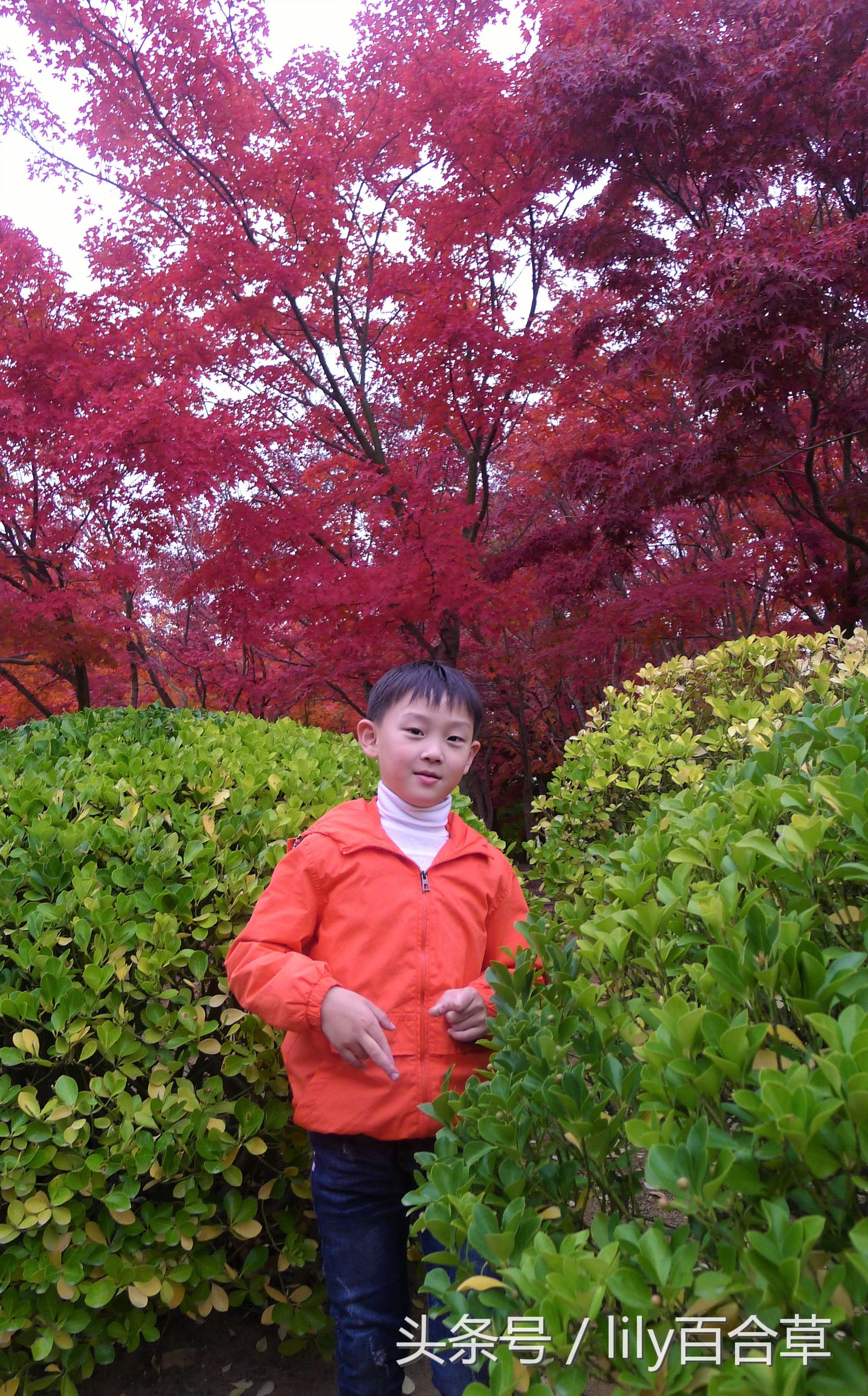 鬼马少年完整版,鬼马少年系列