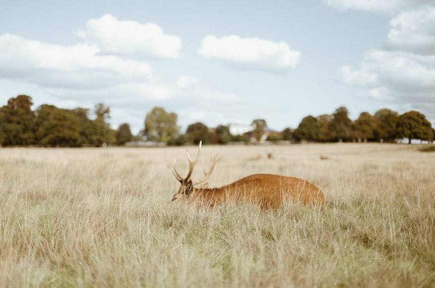 比起被抛弃，我情愿被折磨