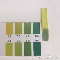 牙膏届的网红款到底怎么样？11款评测给你看