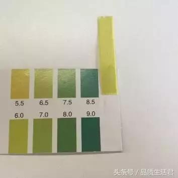 牙膏届的网红款到底怎么样？11款评测给你看