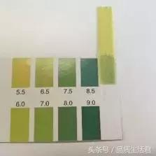 牙膏届的网红款到底怎么样？11款评测给你看