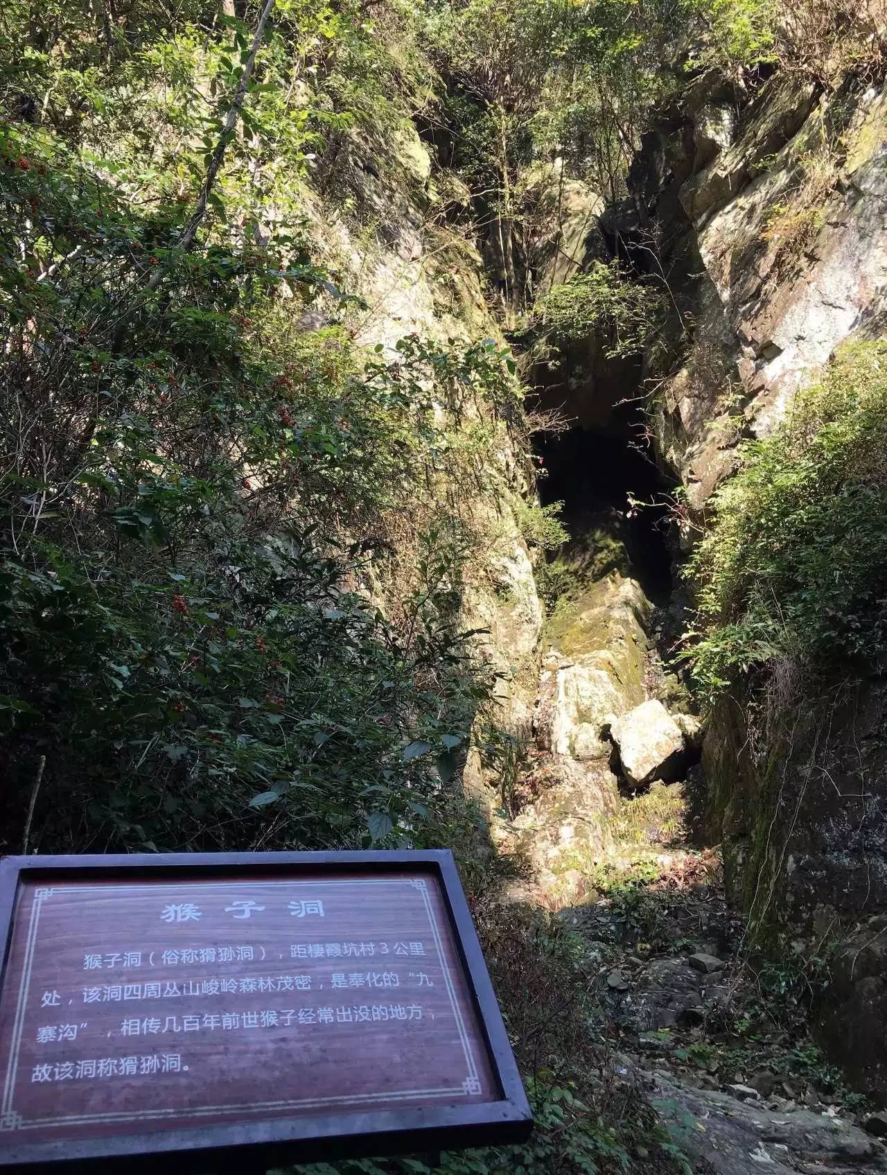 奉化溪口镇栖霞古道,宁波奉化旅游攻略完整版